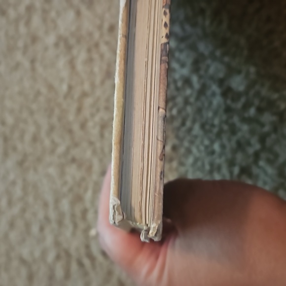 Alice in Wonderland notebook - Picture 10 of 14